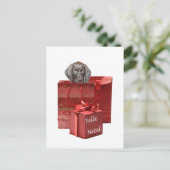 Feliz Natal Kurzhaar Postkarte (Stehend Vorderseite)