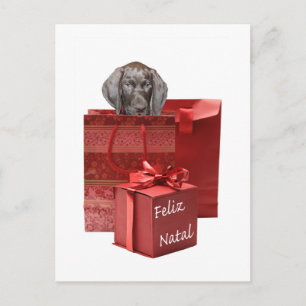 Feliz Natal Kurzhaar Postkarte