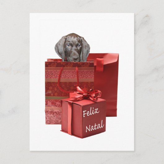 Feliz Natal Kurzhaar Postkarte (Vorderseite)