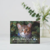 Feliz Naughty Cat Funny Personalisiert Pet Foto Ho Postkarte (Stehend Vorderseite)