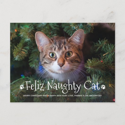 Feliz Naughty Cat Funny Personalisiert Pet Foto Ho Postkarte (Vorderseite)