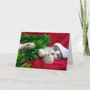 Feliz Navidad 3 Feiertagskarte