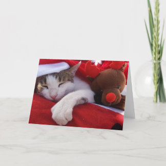 Feliz Navidad Feiertagskarte