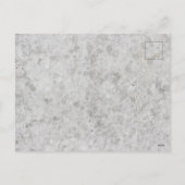 feliz navidad feiertagspostkarte (Rückseite)