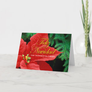 Feliz Navidad - Red Poinsettia und Fir Bow Feiertagskarte