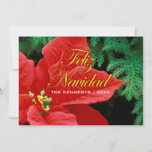 Feliz Navidad - Red Poinsettia und Fir Bow Feiertagskarte