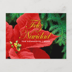Feliz Navidad - Red Poinsettia und Fir Bow Feiertagspostkarte