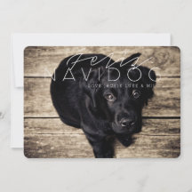 Feliz Navidog | Feiertags-Foto