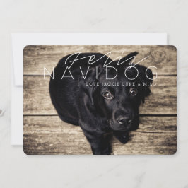 Feliz Navidog | Feiertags-Foto Feiertagskarte