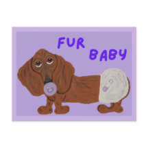 Fellbaby-Dachshund-Welpe