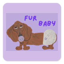 Fellbaby-Dachshund-Welpe