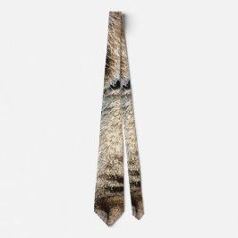 Fellbesetzte Tabby-Katzenbeine und -pfoten - Lusti Krawatte