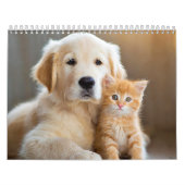 Fellfreunde Kalender (Titelbild)