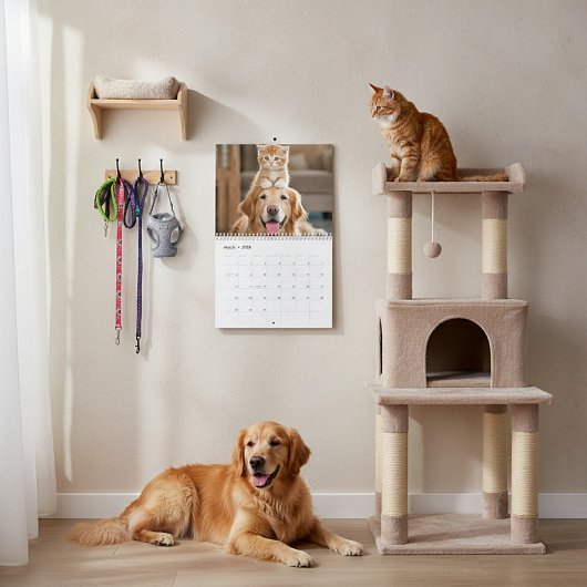 Fellfreunde Kalender