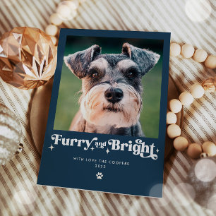 Felliger und heller Hund Foto Lustiges Weihnachten