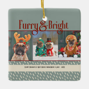 Felliger und heller Hund Weihnachtsfoto Urlaub Keramikornament
