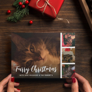 Fellnach Weihnachten Haustier-Foto-Collage