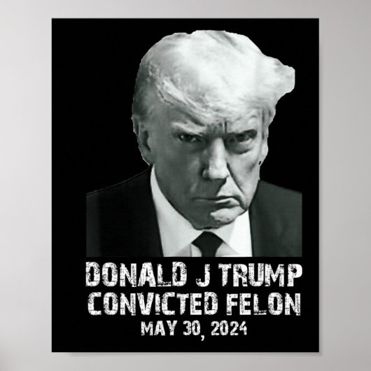 Felon Donald Trump Guilty sperrt Trump das Gefängn Poster (Vorne)