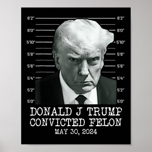 Felon Donald Trump Guilty sperrt Trump das Gefängn Poster (Vorne)