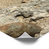 Felsdenkmäler an der Küste von Aruban Poster (Ecke)