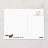 Felsdenkmäler an der Küste von Aruban Postkarte (Rückseite)