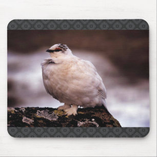 Felsen-Alpenschneehuhn im Winter-Gefieder Mousepad