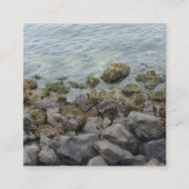 Felsen am Meer Begleitkarte (Vorderseite)