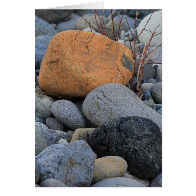 Felsen am Rotholz-Wald (Vorne)