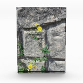 Felsen auf der Blume Fotoblock (Vorderseite)