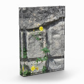 Felsen auf der Blume Fotoblock (Links)