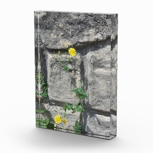 Felsen auf der Blume Fotoblock (Rechts)
