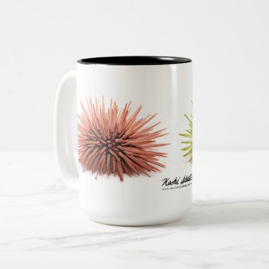 Felsen-Bohren Seeigel, Echinometra mathaei Zweifarbige Tasse (Vorderseite Links)