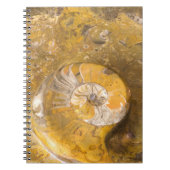 Felsen, der viele Fossilien u. Ammonit-Foto Notizblock (Vorderseite)