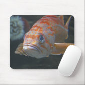 Felsen-Fische Mousepad (Mit Mouse)