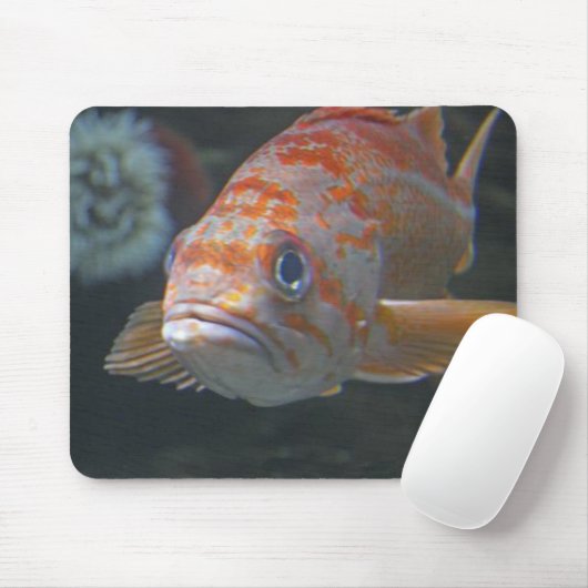 Felsen-Fische Mousepad (Mit Mouse)