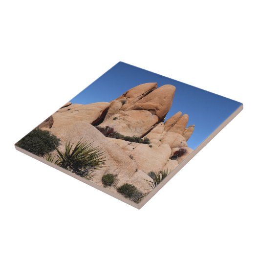 Felsen im Joshua-Tree-Nationalpark Fliese (Seite)