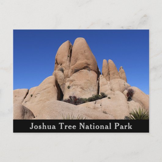 Felsen im Joshua-Tree-Nationalpark Postkarte (Vorderseite)