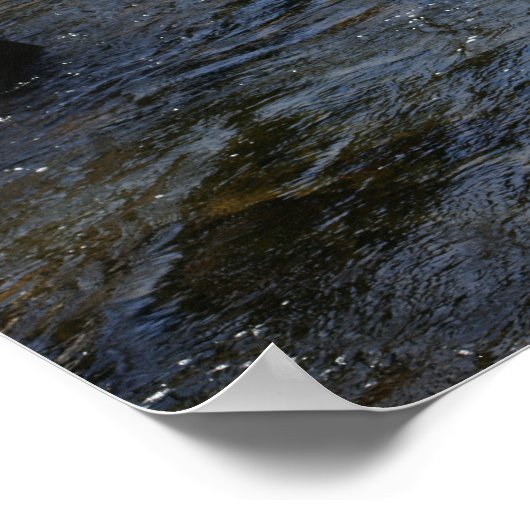 Felsen in Stream Nature Poster (Ecke)