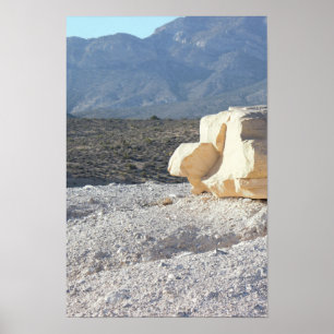 Felsen mit Bergen Poster