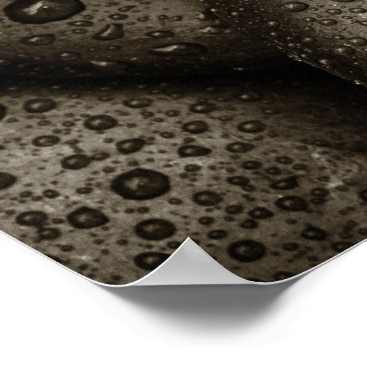 Felsen mit Regenfällen Poster (Ecke)