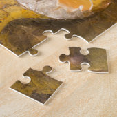 Felsen mit versteinertem Ammoniten u. anderen Puzzle (Seite)