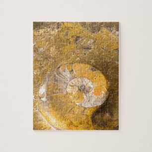 Felsen mit versteinertem Ammoniten u. anderen Puzzle
