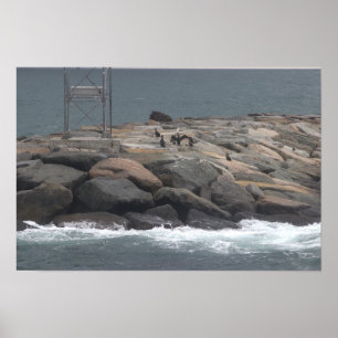 Felsen mit Vögeln Ozean-Wasserlandschaft-Poster Poster