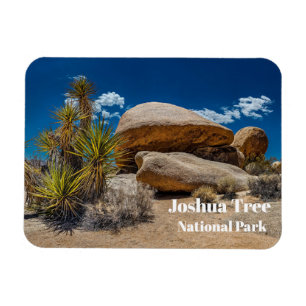 Felsen, Pflanzen, Sand, Joshua-Baum-Nationalpark, Magnet