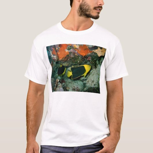 Felsen-Schönheiten T-Shirt (Vorderseite)