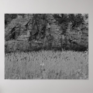 Felsen-Steinbruch-WandCattails 1 Schwarz-weißer Poster