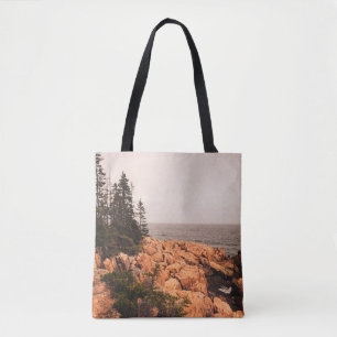 Felsen und Bäume an der Maine Küste in Acadia N Tasche