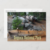 Felsen und Bäume, Sequoia-Nationalpark Postkarte (Vorne/Hinten)