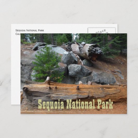 Felsen und Bäume, Sequoia-Nationalpark Postkarte (Vorne/Hinten)