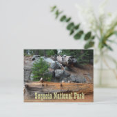 Felsen und Bäume, Sequoia-Nationalpark Postkarte (Stehend Vorderseite)